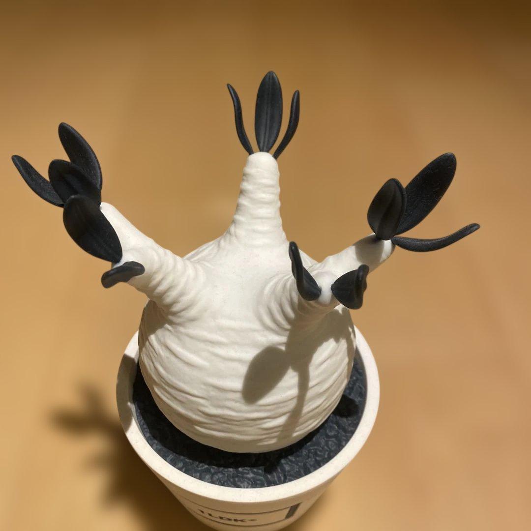 その他 1LDK PachypodiumGracilius medicom toy