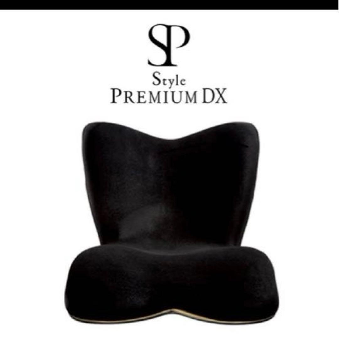 Style PREMIUM DX 骨盤・姿勢矯正クッション