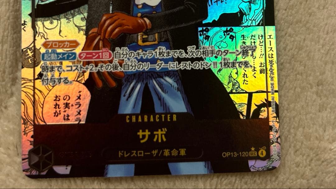 【美品】受け継がれる意志サボコミックパラレル