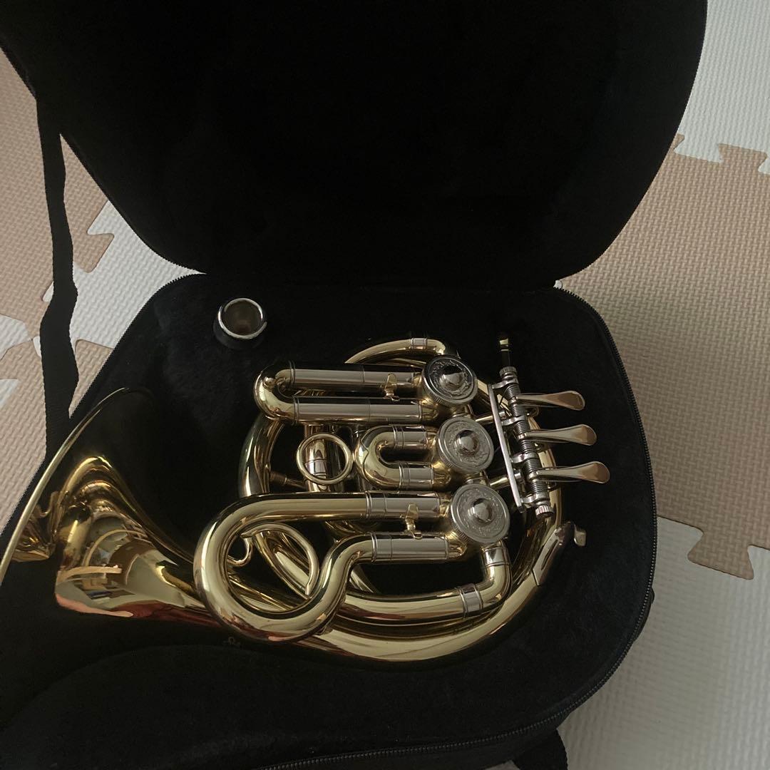 最終値下げ！！今週末で削除予定。ポケットホルン