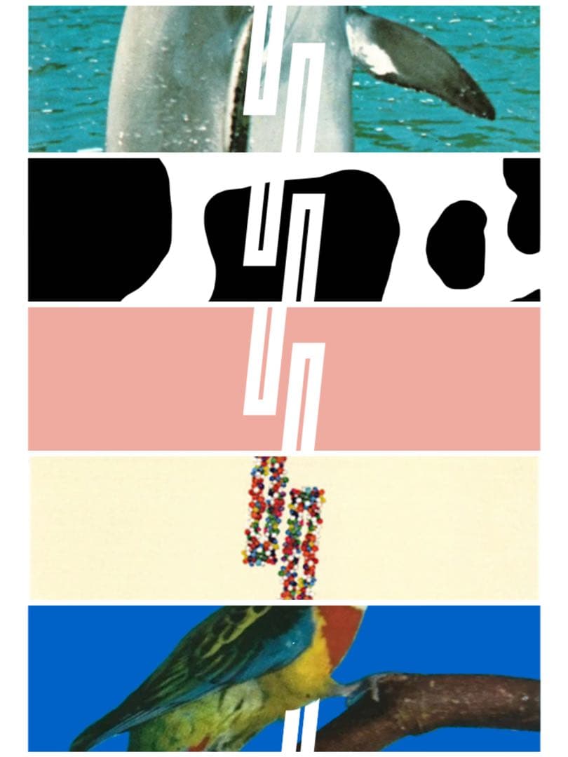 【特別価格】2025 Fontaine 5種類各1個セット