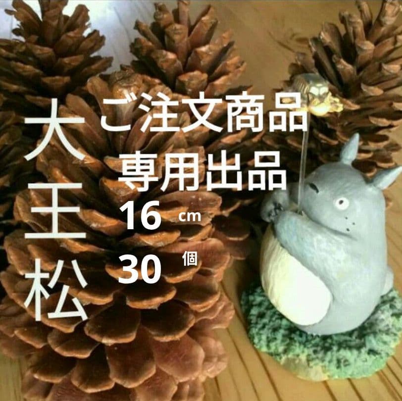 ご注文商品　やすの松ぼっくり