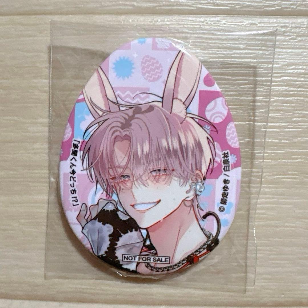 多聞くん今どっち！？　花とゆめ　当選品　非売品　うさみみ缶バッジ