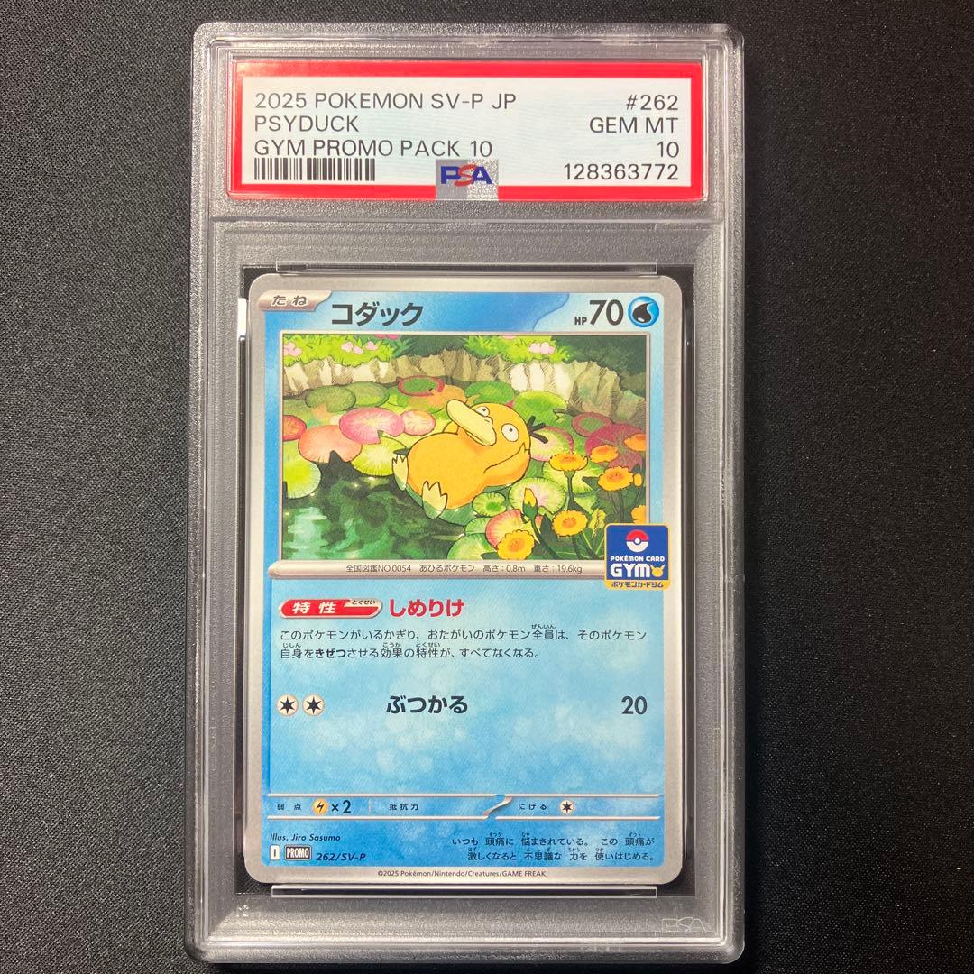 【PSA10】コダック PROMO 【 ジムプロモパック10】