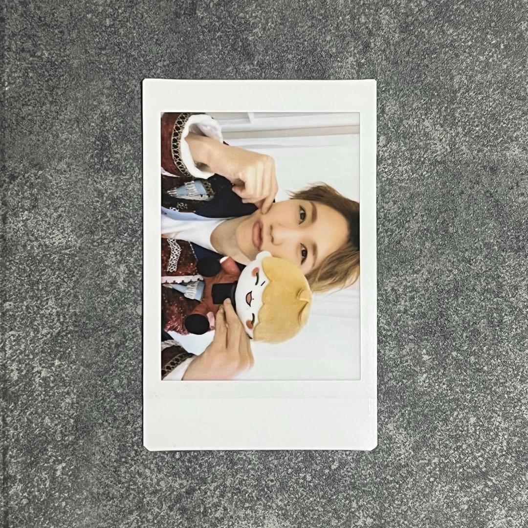 めせもあ フォーゲル - メルカリ