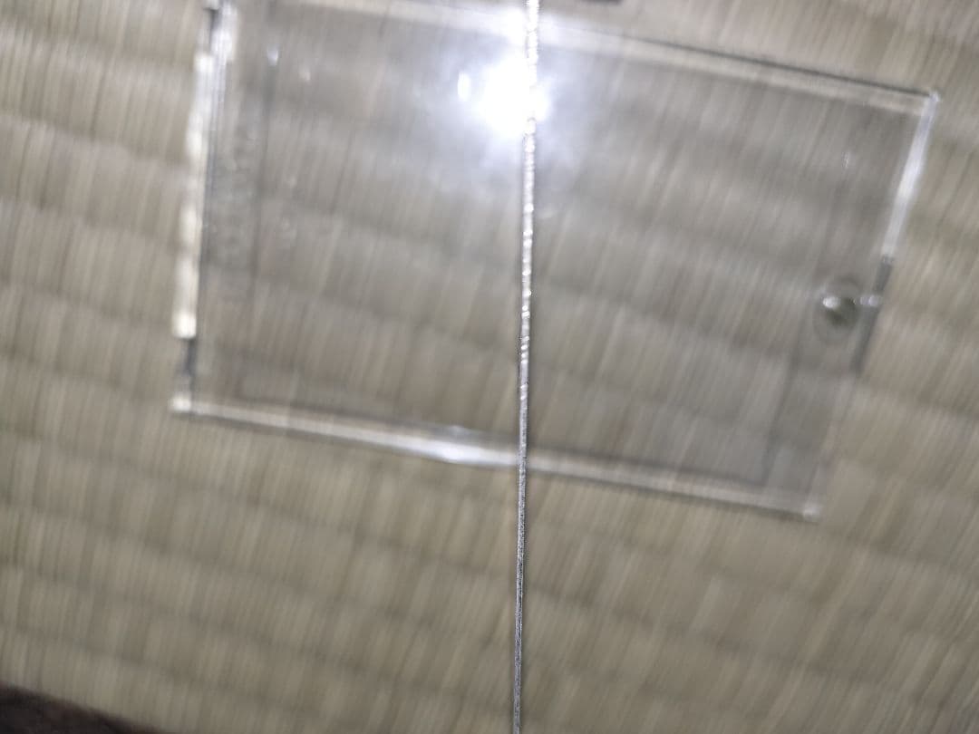 真紅眼の黒竜 ウルトラレア 2400/2000 このカードはステンレス製です