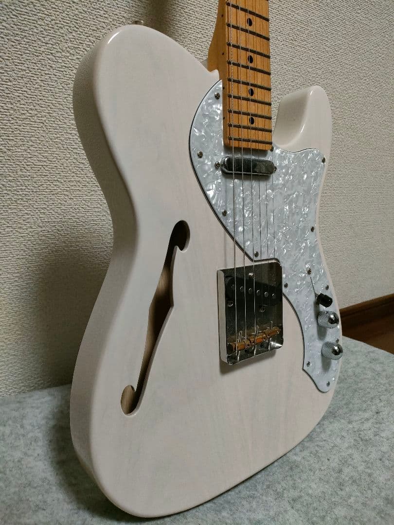 FGNフジゲン テレキャスターシンライン NTL 10M AHT - WB/01