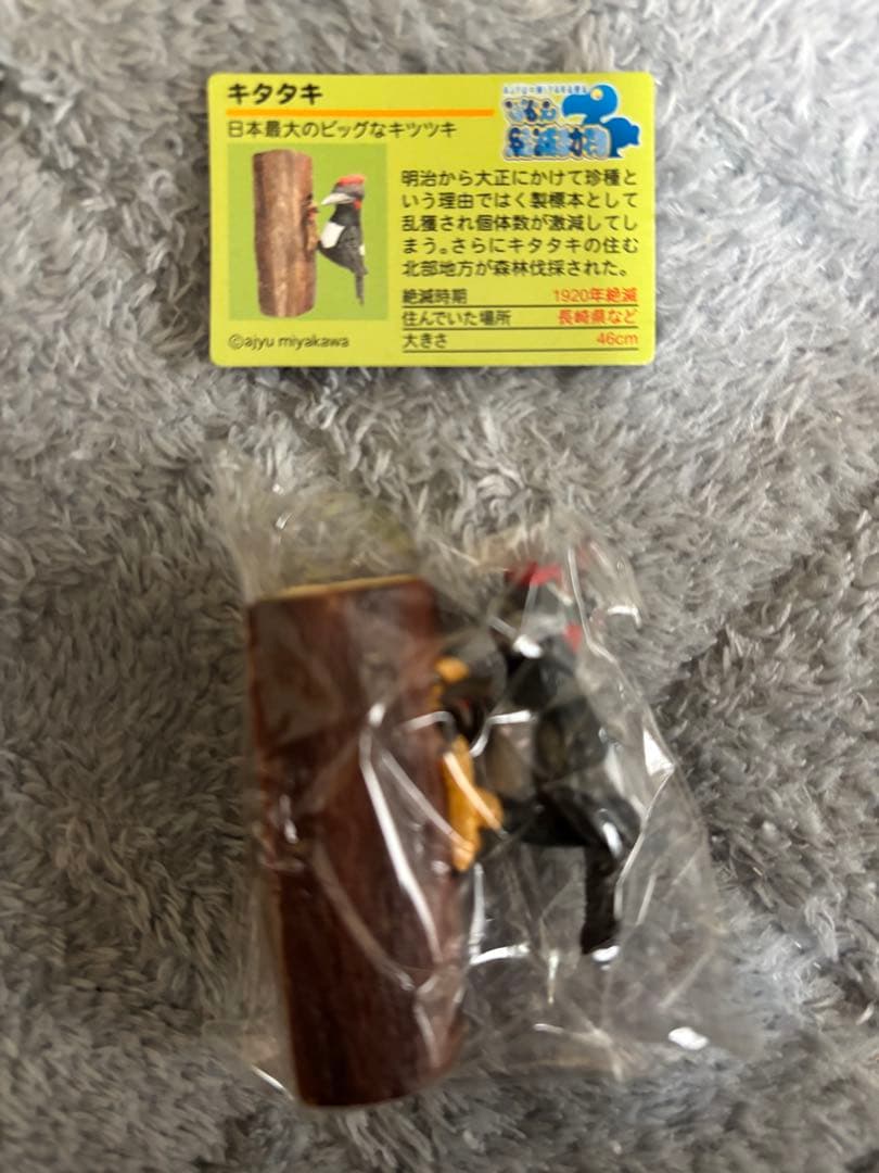 戦え絶滅動物PART2 宮川アジ ドードー マンモス オオカミ アシカ