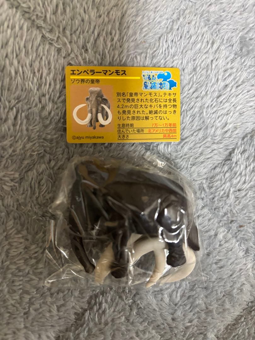 戦え絶滅動物PART2 宮川アジ ドードー マンモス オオカミ アシカ