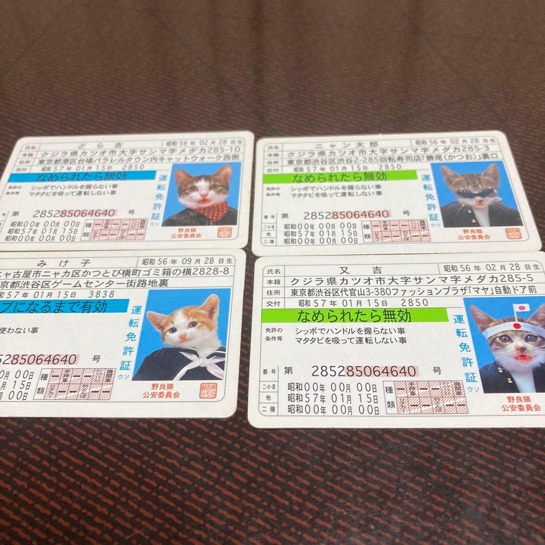 なめ猫 免許証 4枚セット 昭和56当時モノ かわいい猫 - メルカリ