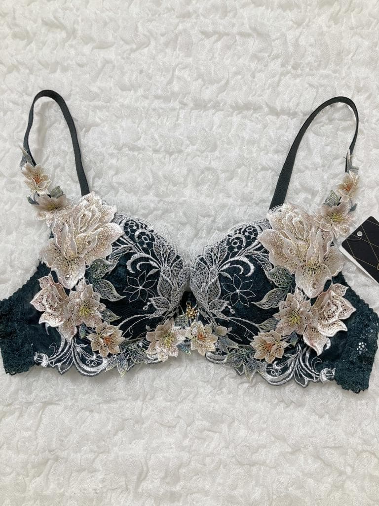 新品　ワコールサルート　BTJ509　09グループ　店舗限定　ブラジャー　C75 ワコール/サルート 09 店舗限定 P-upブラ&ソングセット C75 M新品タグ