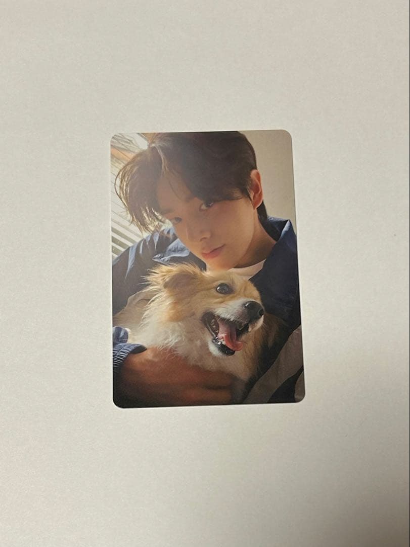 ENHYPEN 2025 アンケートトレカ ジェイク