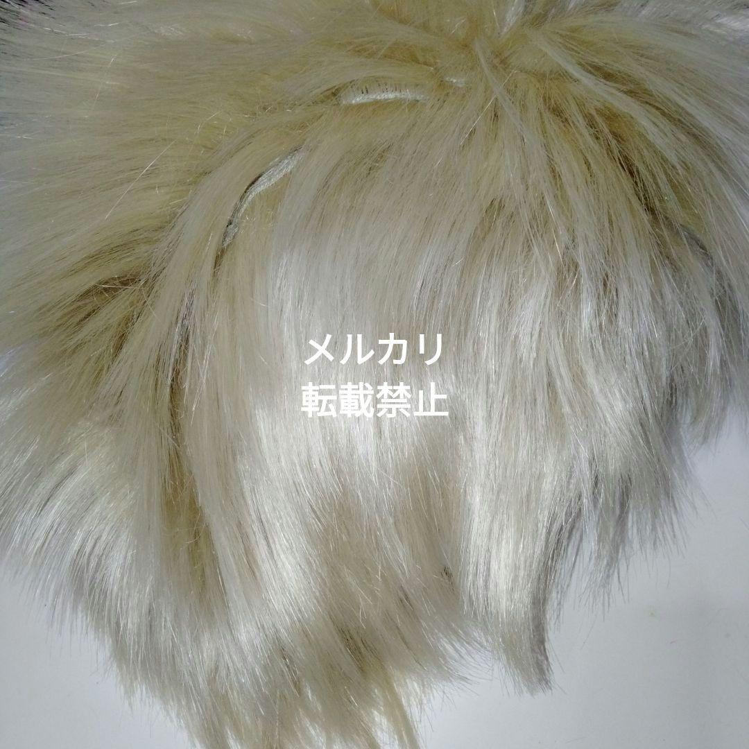 レア・美品】聖飢魔II ライデン殿下 ウィッグ ゴールド - メルカリ