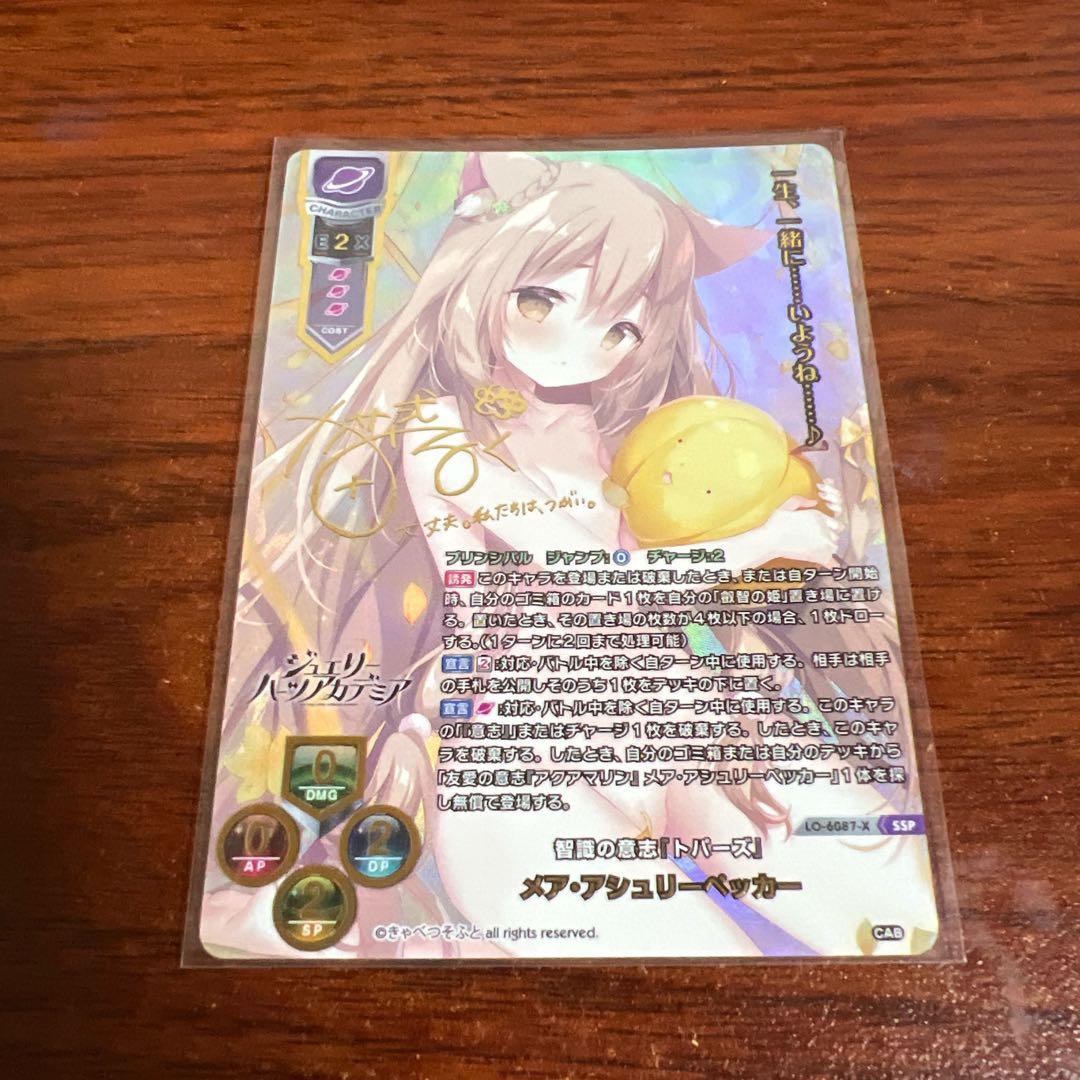 リセ/きゃべつそふと 1.0/SSP/智識の意志 メア・アシュリーベッカー