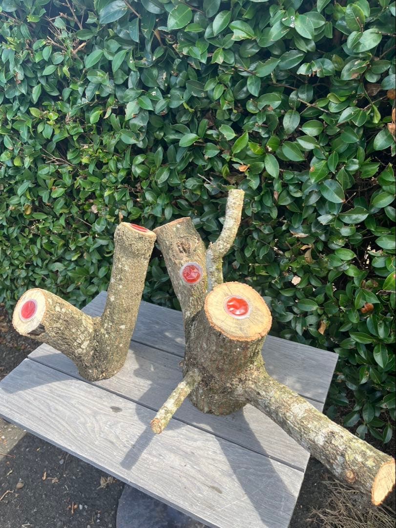 キングクルール様オーダー品 クヌギ エサ皿