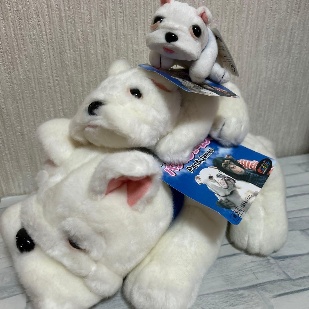 ⭐︎犬のジェームズ ぬいぐるみ3体 パン&ジェームズ パン君 志村