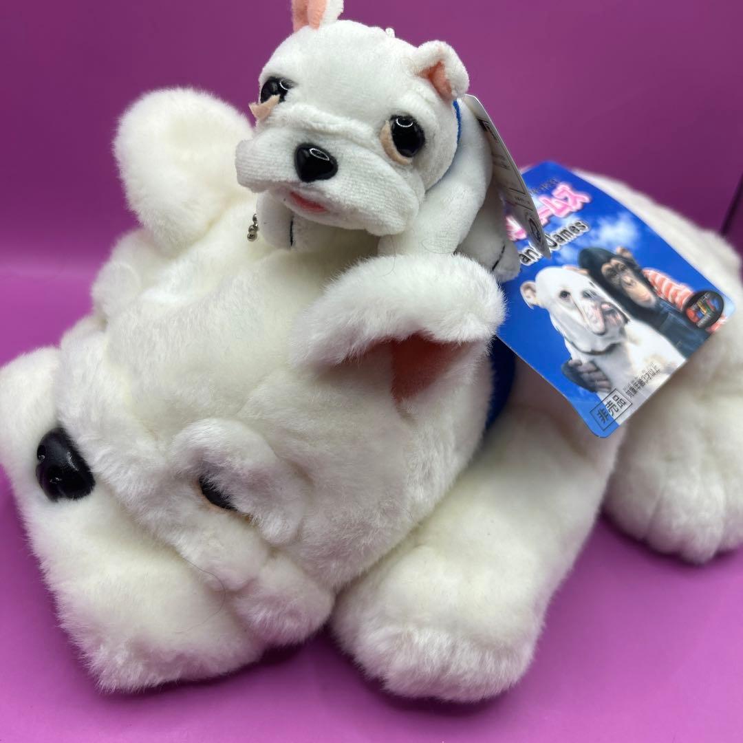 ⭐︎犬のジェームズ ぬいぐるみ3体 パン&ジェームズ パン君 志村