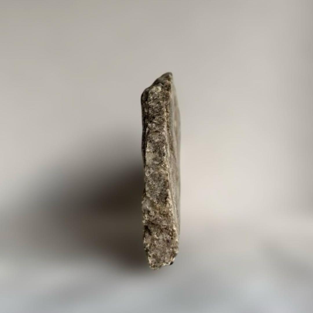 極希少】猿投山の菊花石 約203g 天然記念物 水石 鑑賞石 菊