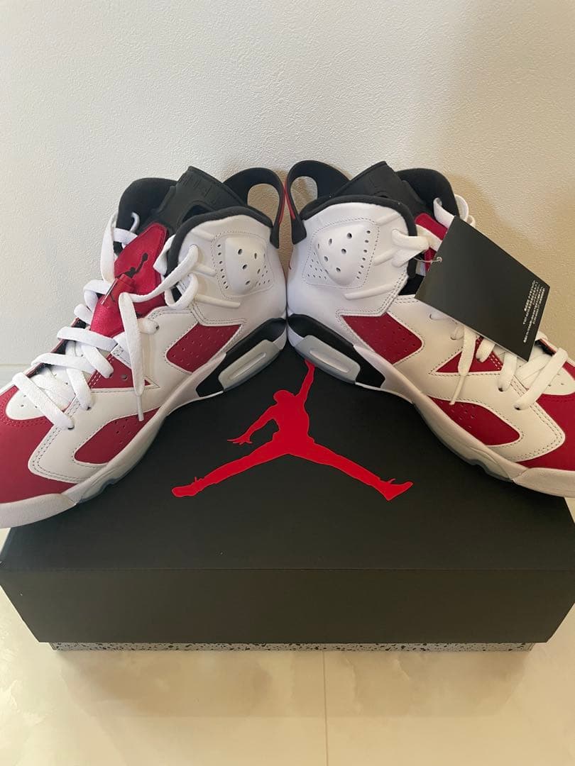 新品Nike Air Jordan 6 Retro Carmine