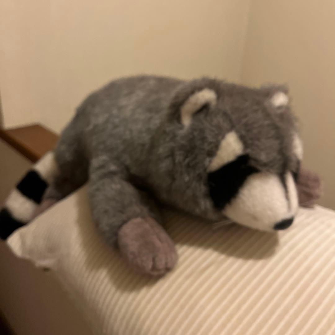 オリエンタルトーイのアライグマ ぬいぐるみ - メルカリ