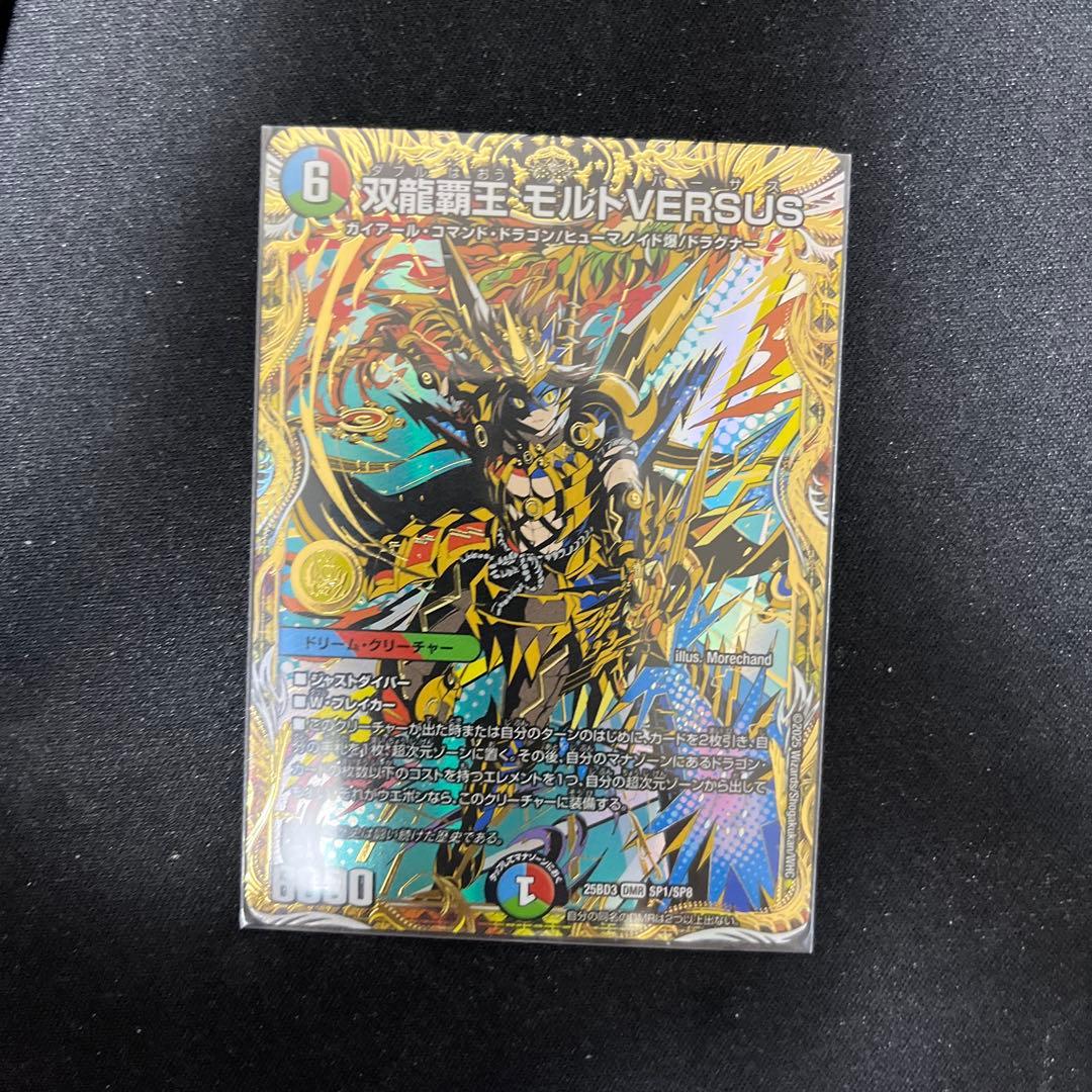 双龍覇王　モルトversus シク