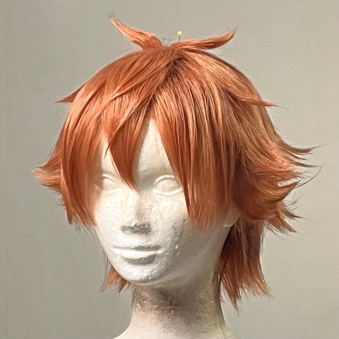 コスプレ ウィッグ ツイステ エース・トラッポラ - メルカリ