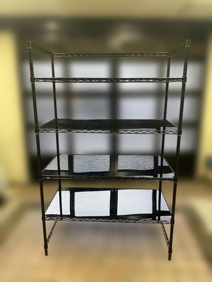 キノ西　2台まとめ ERECTA