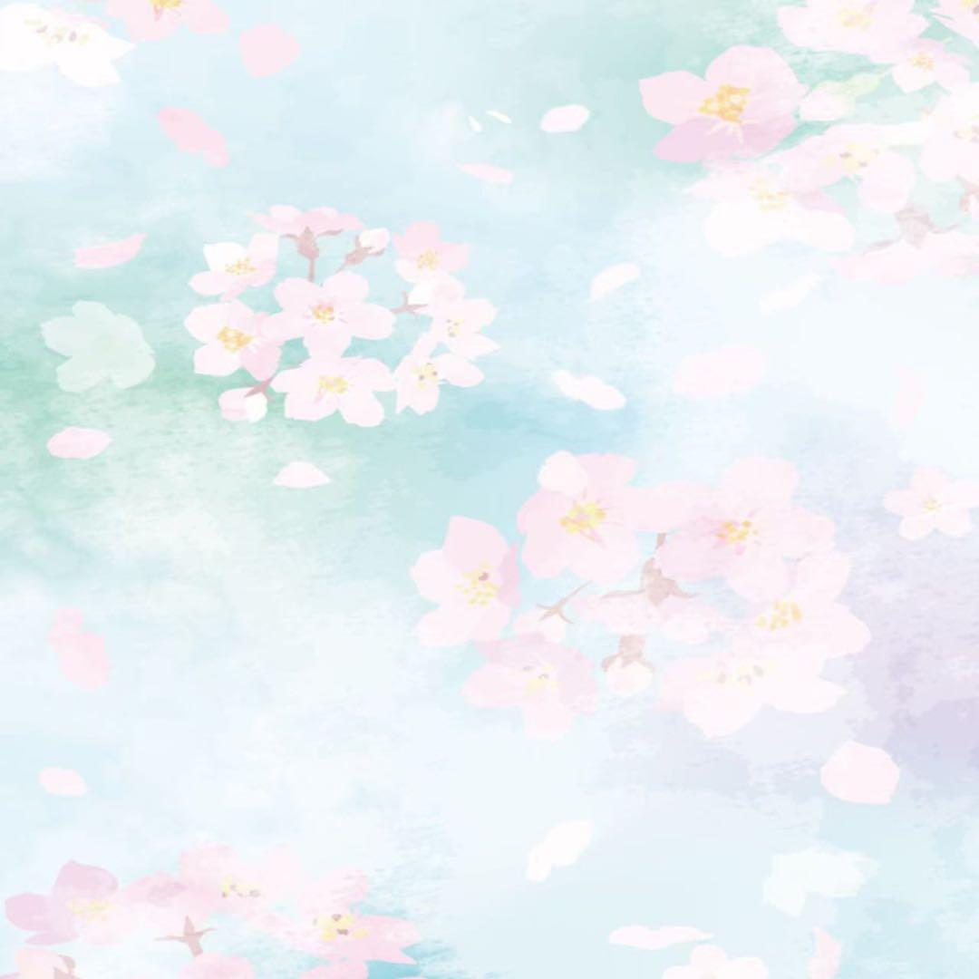 さとちゃん様3点セット