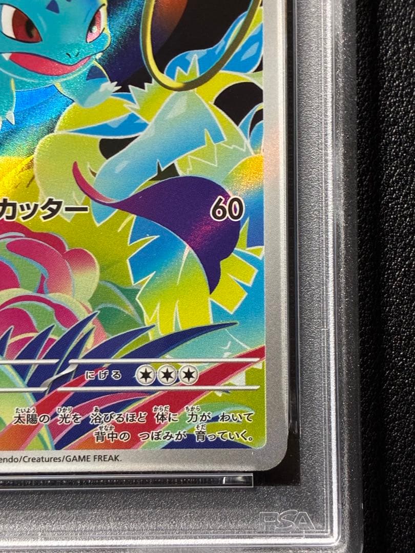 PSA鑑定】メガブレイブ メガフシギバナ 進化ラインPSA10 連番セット