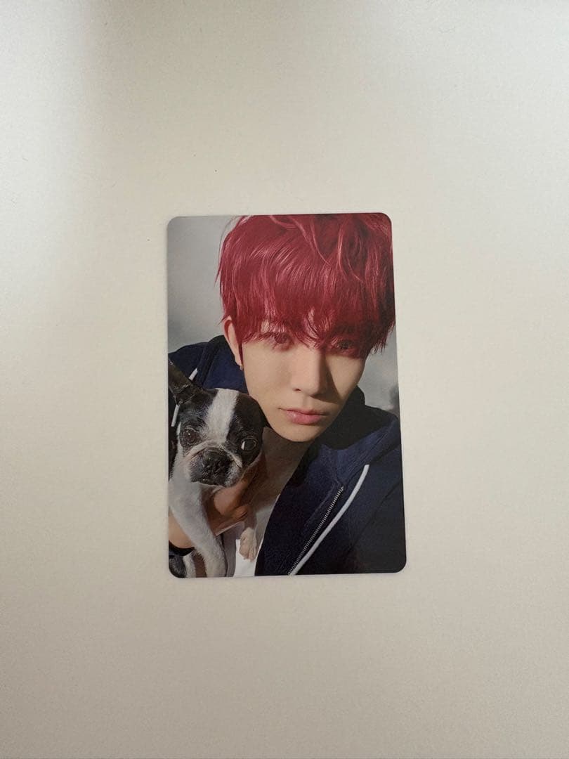 ENHYPEN 2025 会報　アンケートトレカ　ヒスン