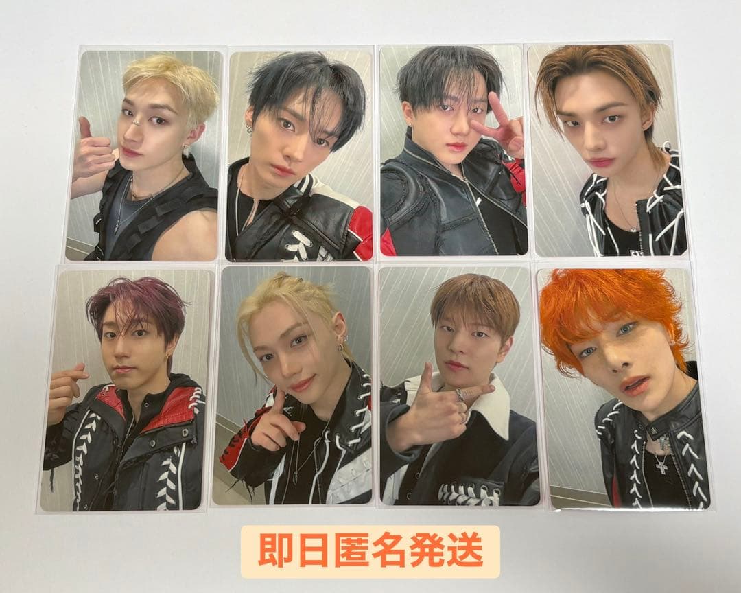 StrayKids スキズ オフイベ関東 会場限定 8枚 セット 2/1