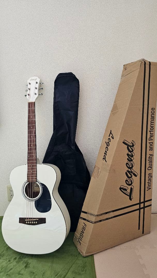 LEGEND レジェンド/ byAria アコースティックギター FG-15