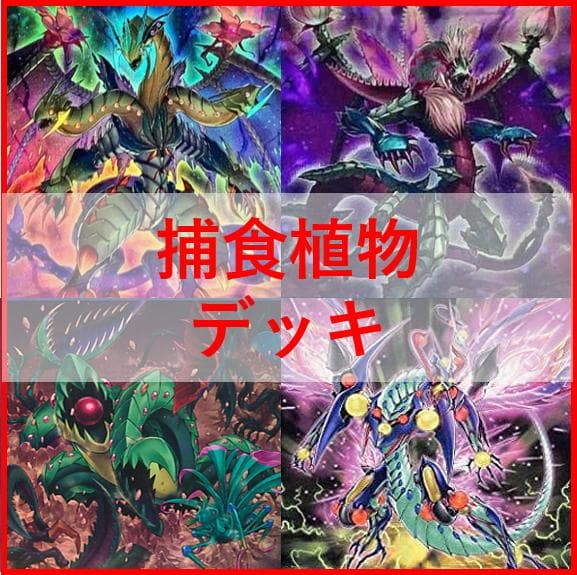 遊戯王　デッキ　捕食植物　プレデター・プランツ　スターヴ　[04656]