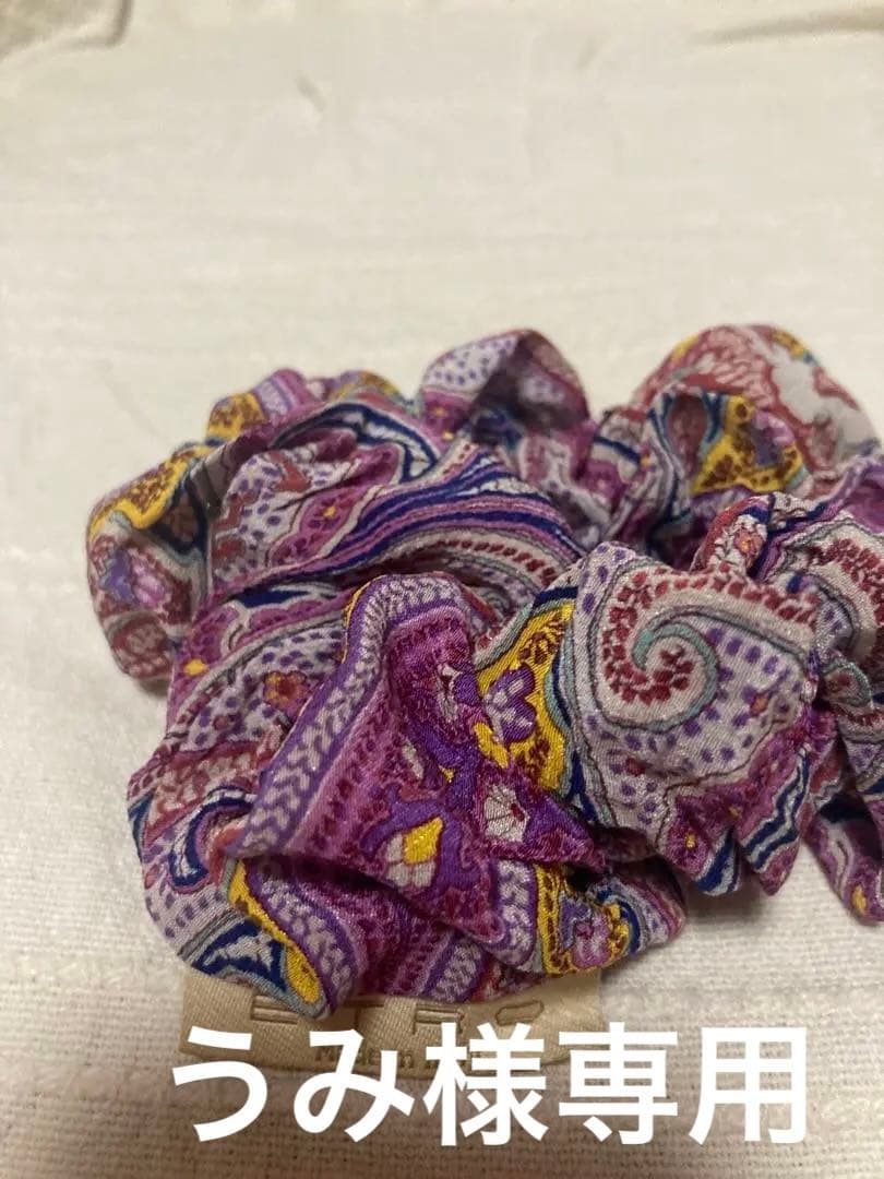 エトロ　シュシュ