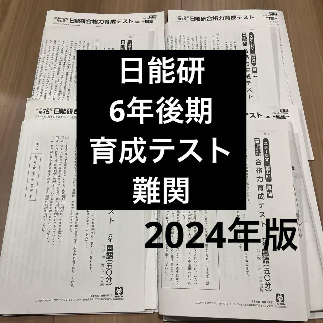 最新版】日能研 6年後期 育成テスト 難関 4回分 2024年版 - メルカリ