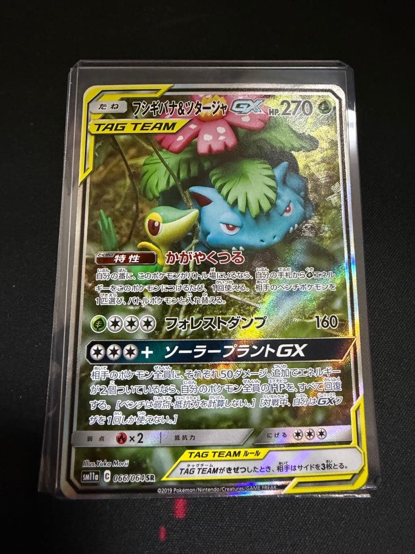 フシギバナ＆ツタージャ GX TAG TEAM SR 066/064 SA
