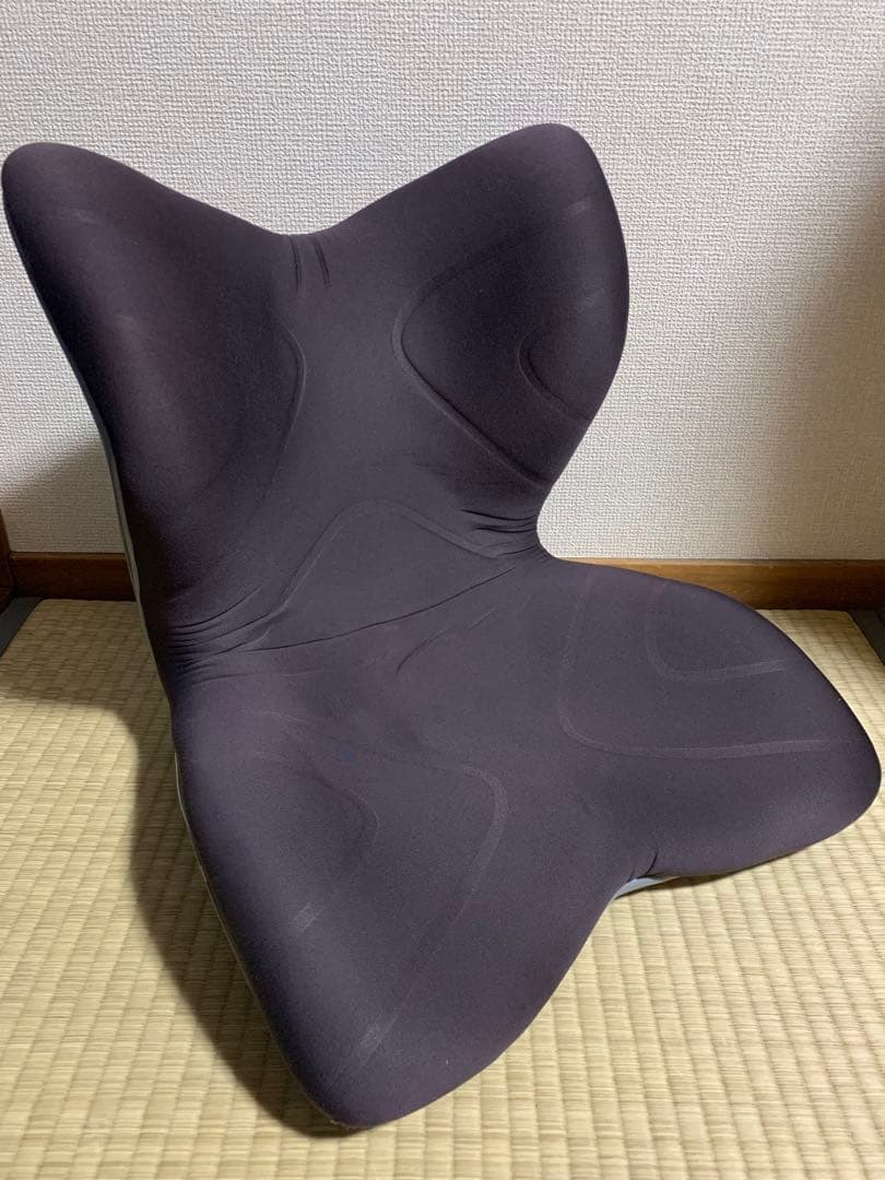 MTG スタイルプレミアム Style PREMIUM 骨盤クッション　ブラウン