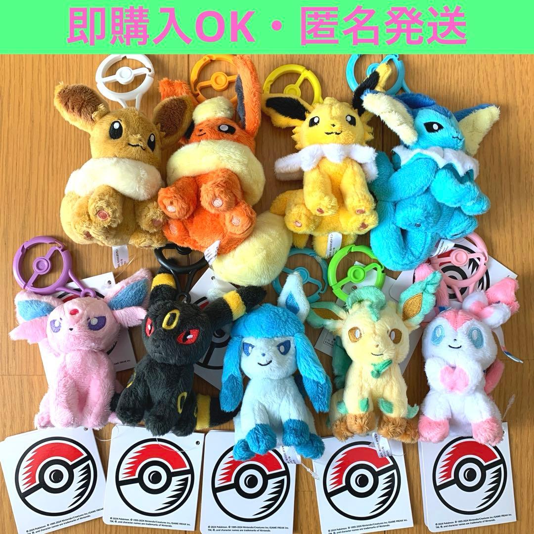ポケモンセンター カラビナ付きマスコット ブイズ ぬいぐるみ タグ付き