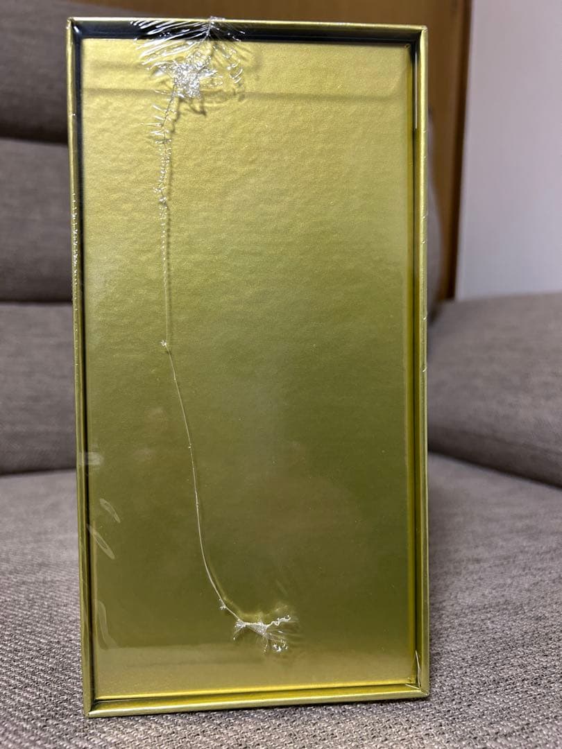 ポケモンカードゲーム 25周年記念ゴールデンボックス シュリンク付き