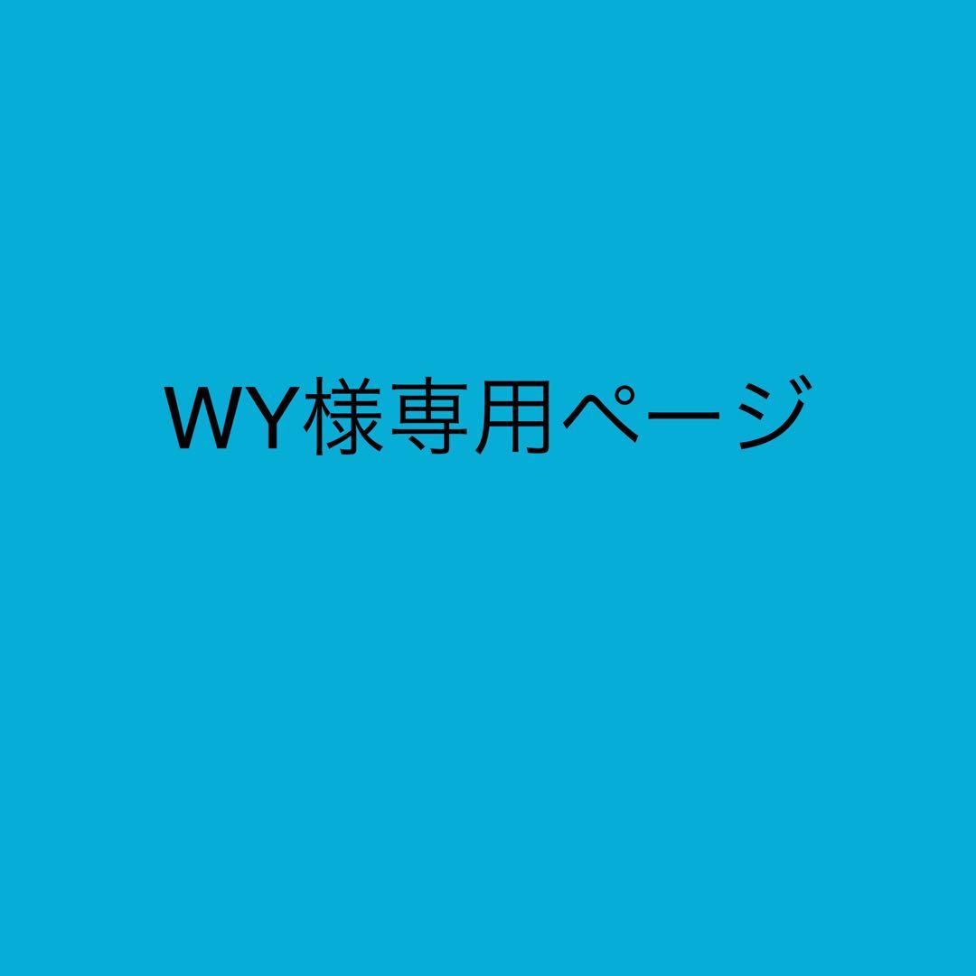 WYページ