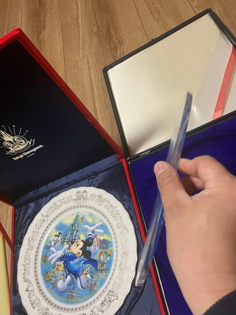 東京ディズニーシーグランドオープニング プレート皿 ランド20周年記念
