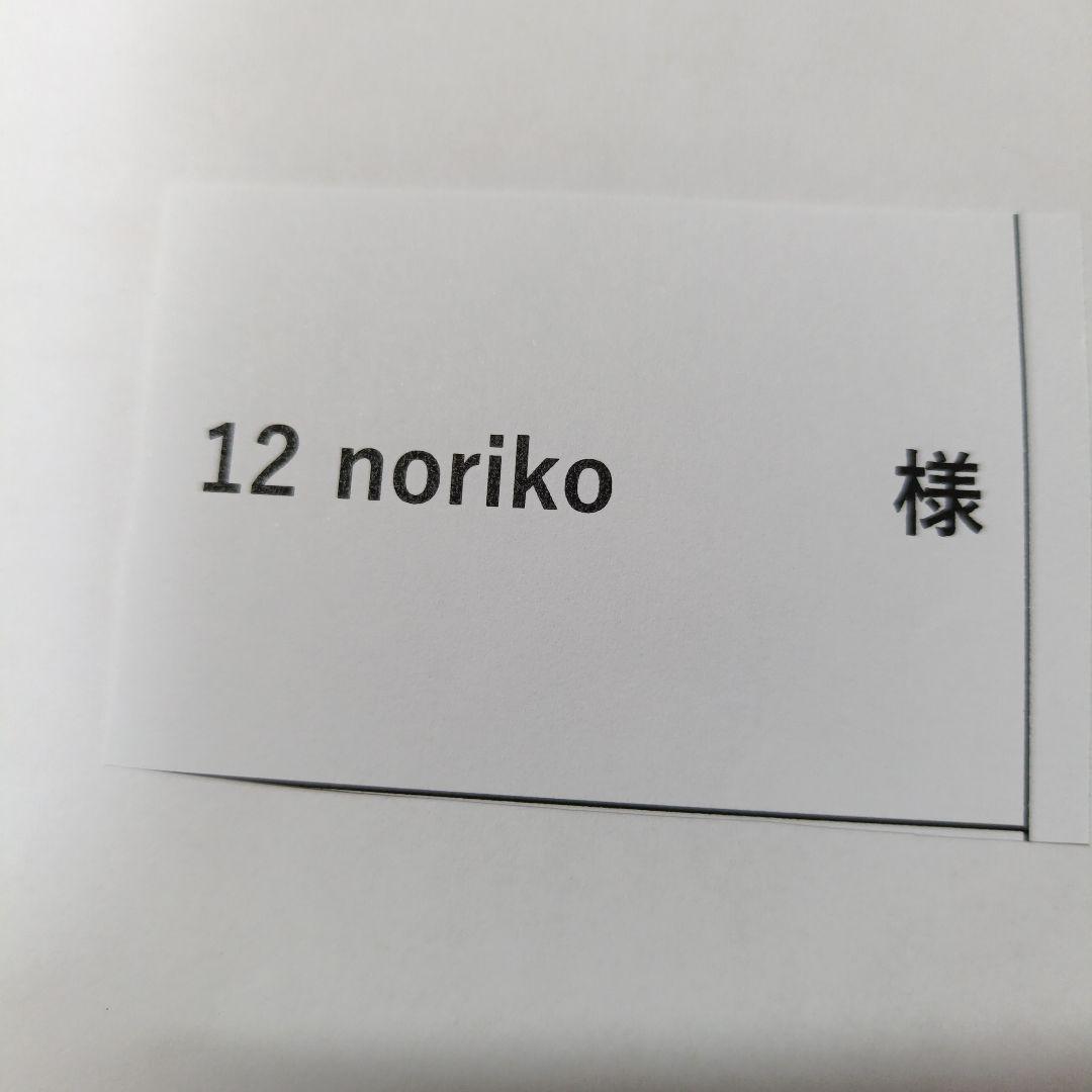 12 noriko多肉植物販売会