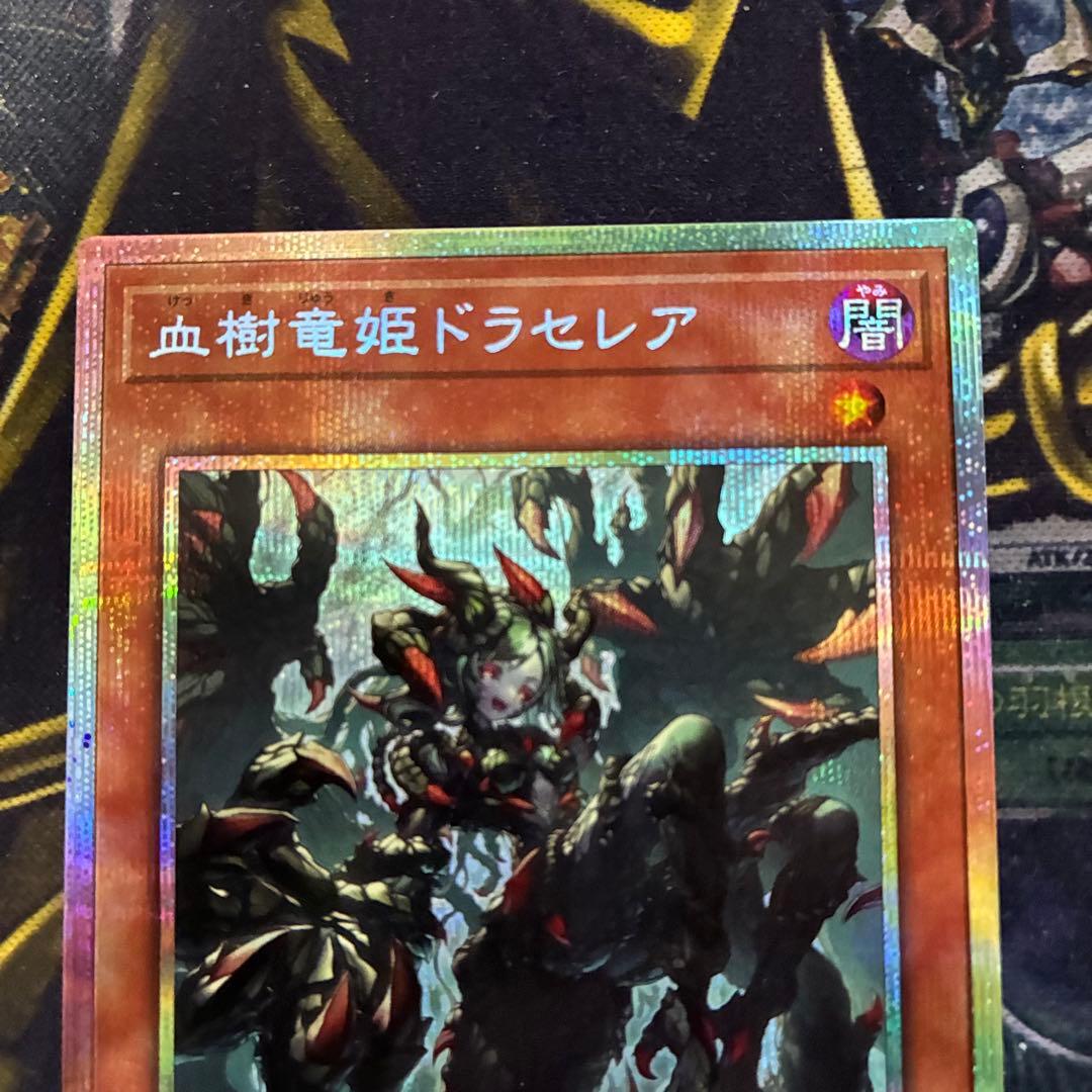 血樹竜姫ドラセレア プリズマティックシークレットレア プリシク