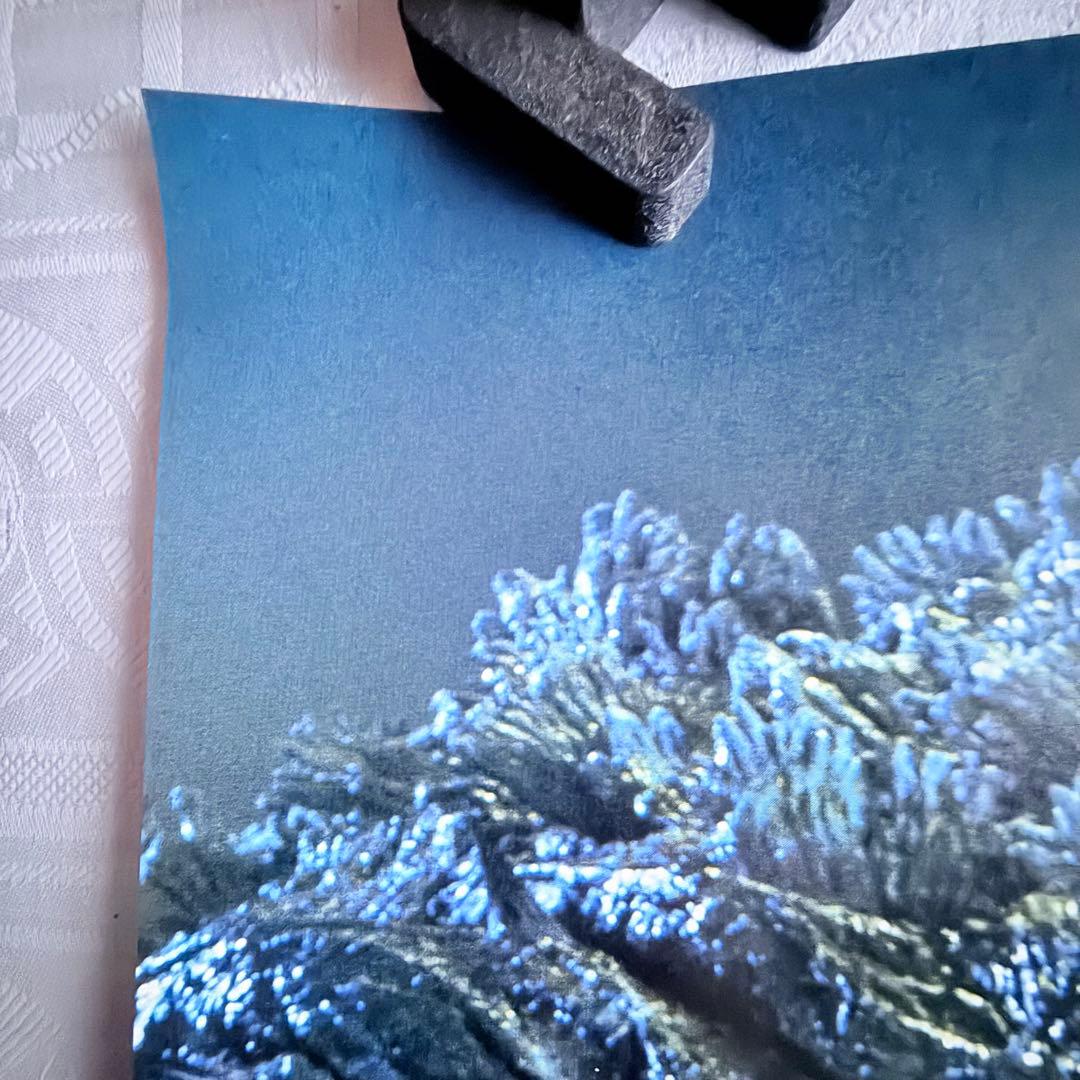 2245様感謝‼️GOZDILLAゴジラVSビオランテ'89TOHO映画ポスター - メルカリ