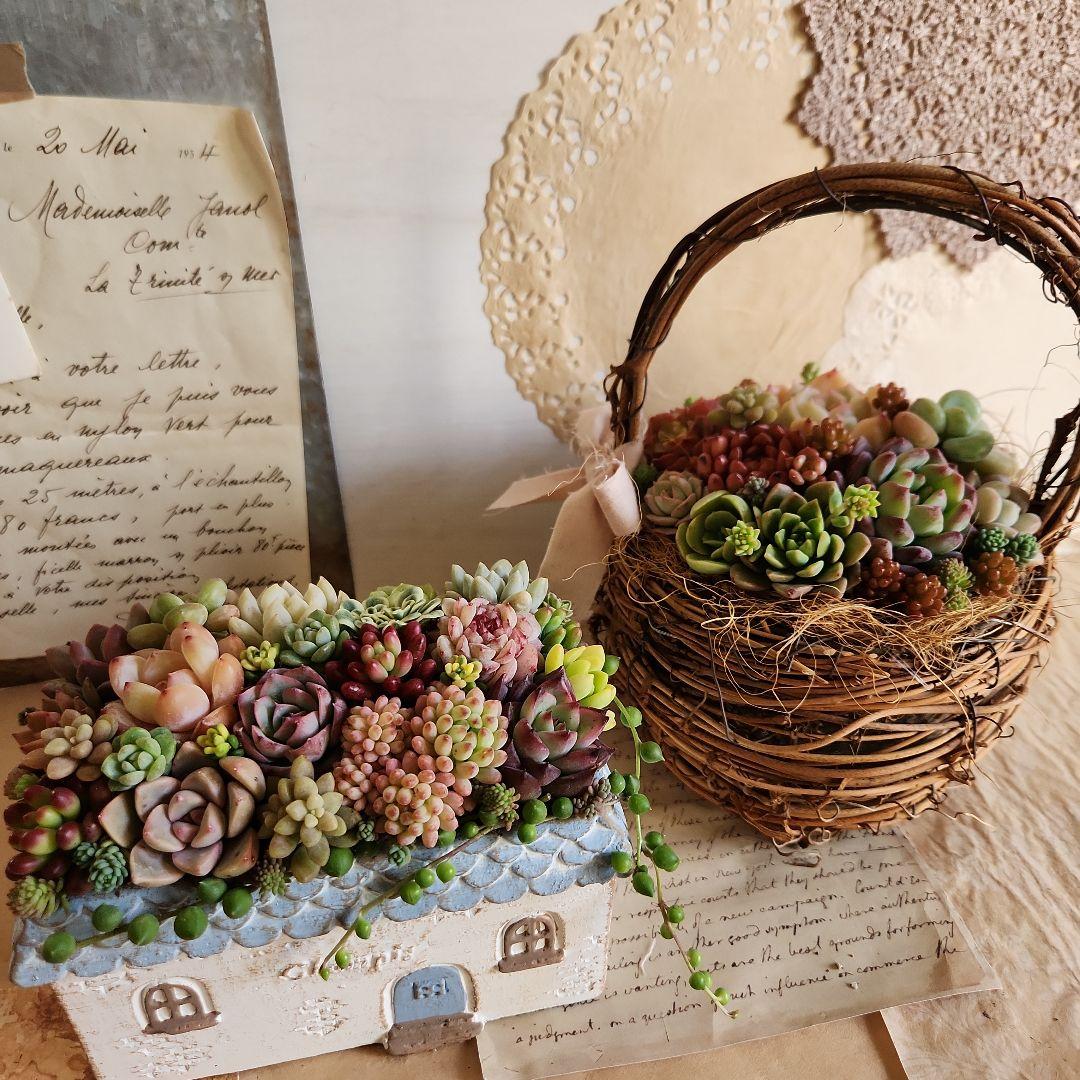 多肉植物寄せ植え そのまま飾れる 2つセット♡ - メルカリ