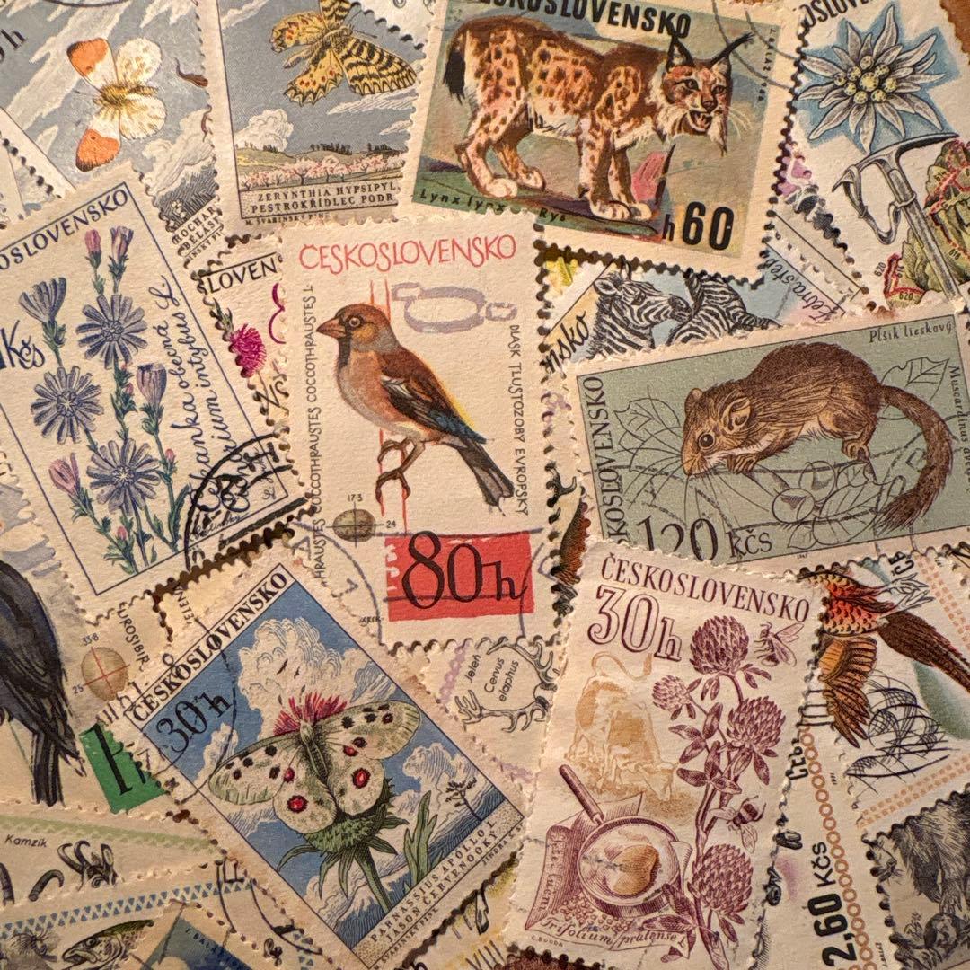 おしゃれな外国切手 チェコスロバキア 鳥 昆虫 花 動物等 30枚 海外