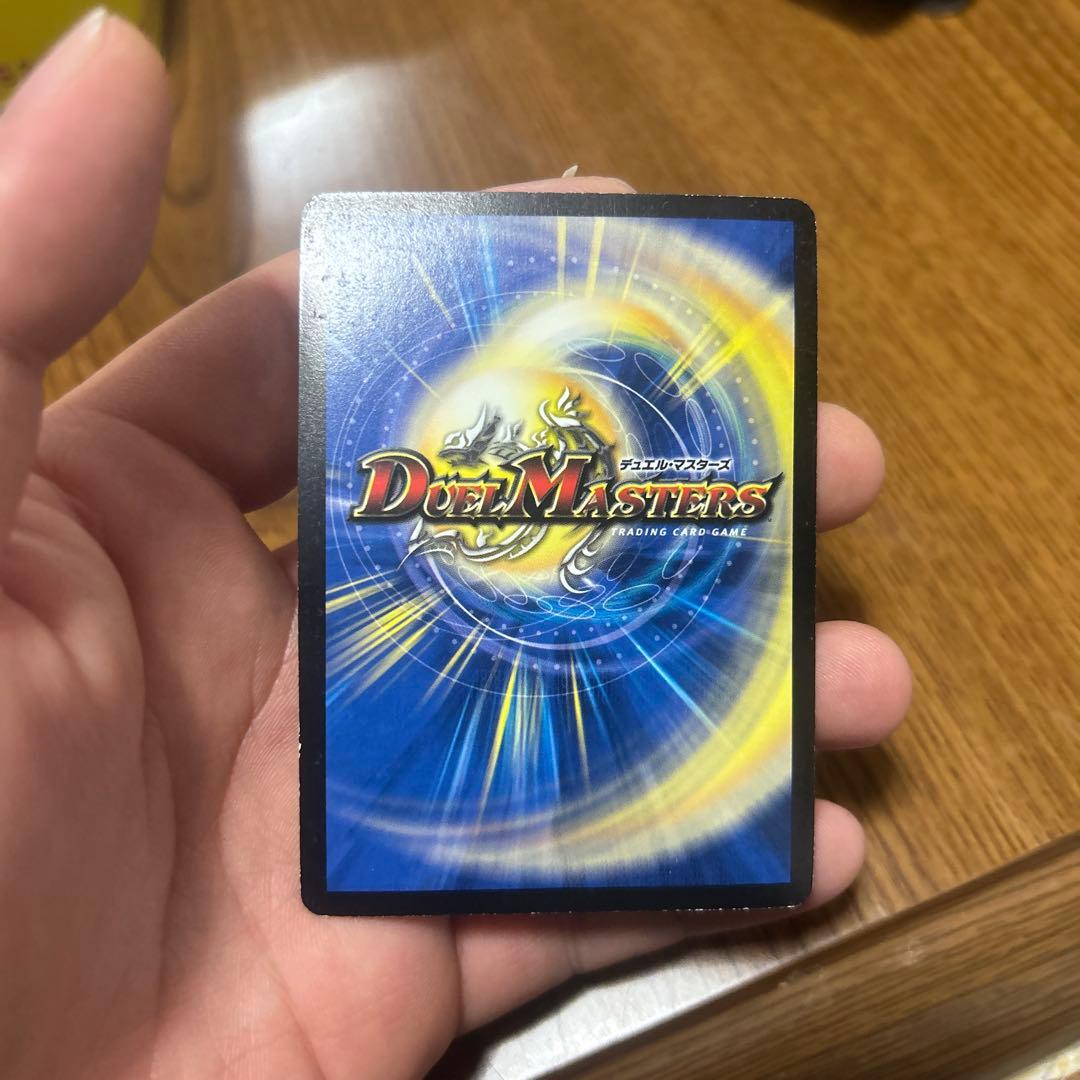 シークレット】聖鎧亜キング・アルカディアス シク - メルカリ