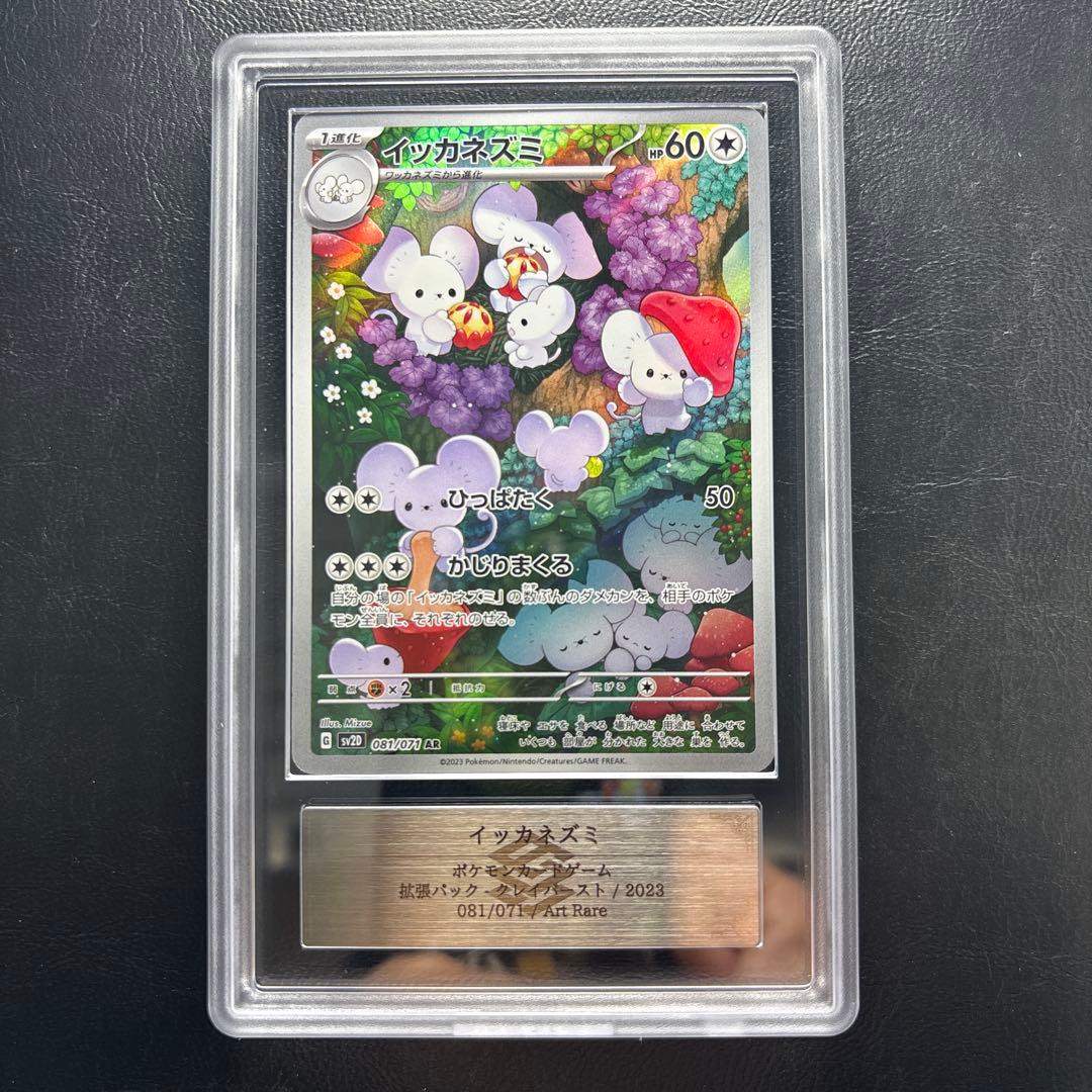 【ARS AU 真贋鑑定】イッカネズミ　AR 081/071