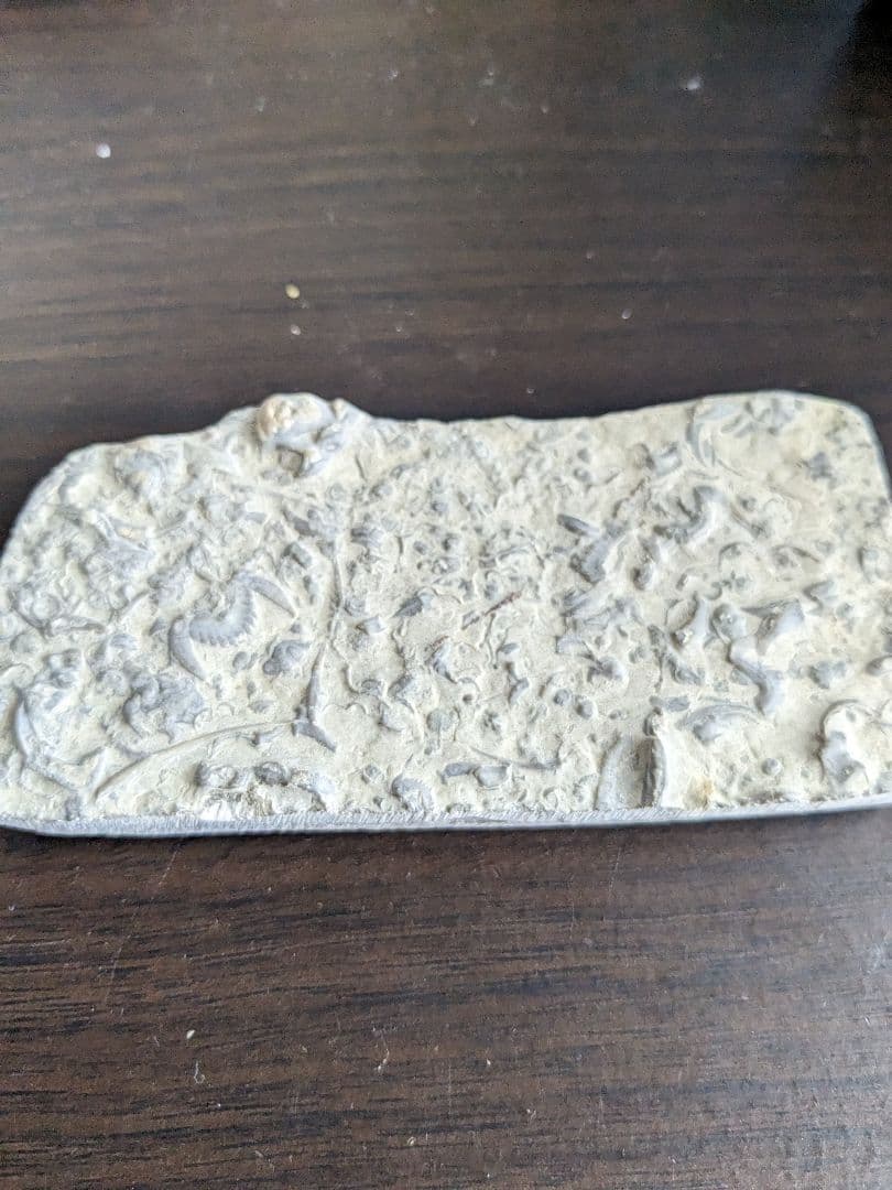 鉱物標本 化石 中国山東省産 コウモリ石 三葉虫 - メルカリ