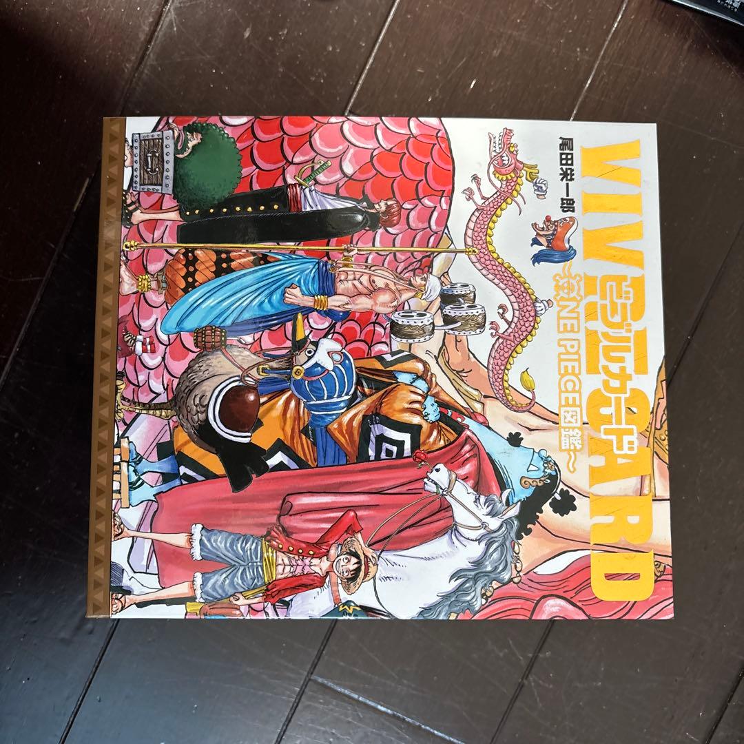 VIVIの冒険の中 ONE PIECE 公式ガイド